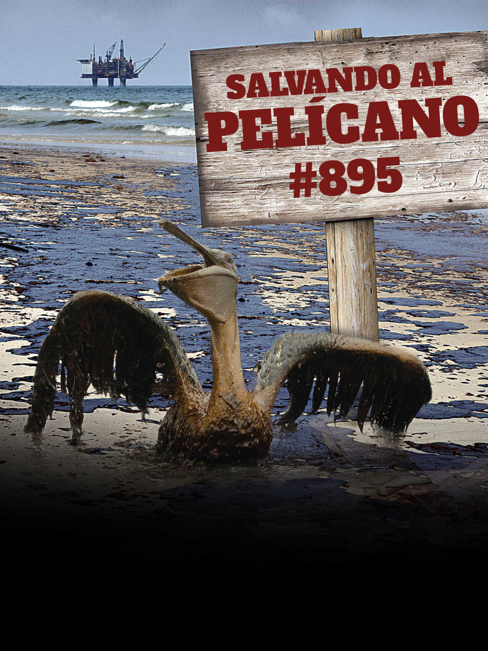 速度与激情7在线观看