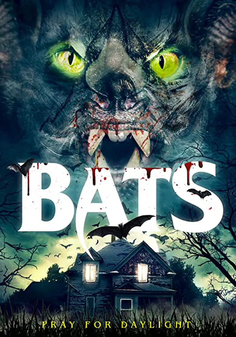 薰衣草在线观看